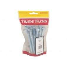 M10 X 100mm Coach Screws