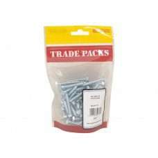 M6 X 40mm Coach Screws