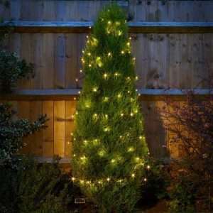 100 Warm White LEDs String Lights