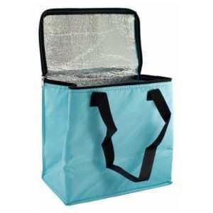Redwood Leisure 12L Cool Bag (CB345)