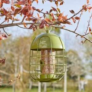 SG Chapel Wood Acorn Metal Squirrel Proof Seed Feeder (7512018)