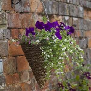 Smart Garden 12 Inch Country Rattan Cone Hanging Basket
