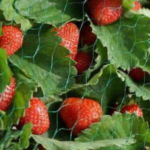 Smart Garden - Garden Netting - Green 15mm Mesh 2 X 5m