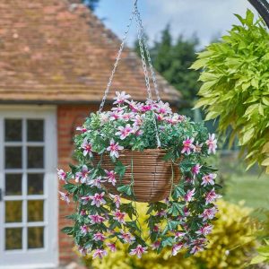 star gazing lilies regal basket 1