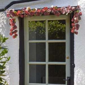 SG Faux Decor Eucalyptus Garland - Violet